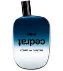 Blue Cedrat Comme des Garcons