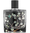 parfém White Sandalwood