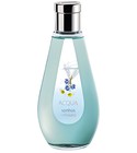 parfém Acqua Sonhos