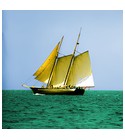 parfém Sea Wood