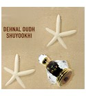 parfém Dehnal Oudh Shuyookhistyl