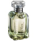Notre Flore Cedar L'Occitane en Provence