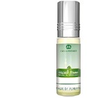 Musk al Madinah Al-Rehab