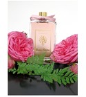 parfém Rose Poudree