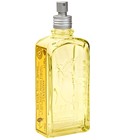 Citrus Verbena Summer L'Occitane en Provence
