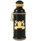 Black Muscs Alexandre.J