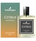 parfém Citrus