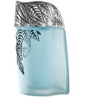 Razeen Junaid Perfumes