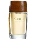 Cereus No.7 Cereus