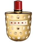 Marni Metallic Marni