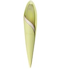 I'm Fio Acid Green Pupa