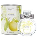 parfém Fresh Citrus
