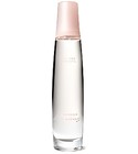 parfém Private Spa Collection - Embrace Dreams