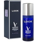 America Look Milton Lloyd