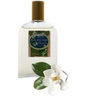 parfém Eau de Cologne Magnolia