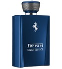 parfém Cedar Essence