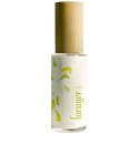 Bloom Forager Botanicals