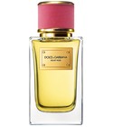 Velvet Rose Dolce&Gabbana