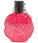 Zara Rose Petal Zara
