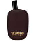 Wonderoud Comme des Garcons