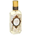 parfém Ylang Ylang