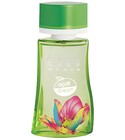 April Dream City Parfum