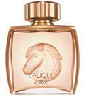 parfém Lalique Pour Homme Equus