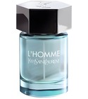 L'Homme Eau d'Ete Yves Saint Laurent