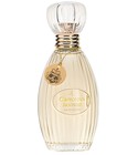 parfém Glamorous Jasmine