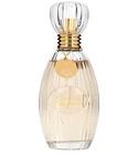 parfém Caressing Cardamom