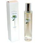 Magnolia Avon