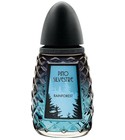 Rainforest Pino Silvestre