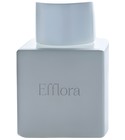 Efflora Odin