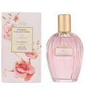 Rose Marks & Spencer