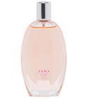 Zara Bright Rose Zara