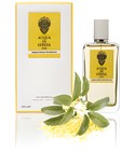 Osmanthus Fragrans Acqua di Stresa