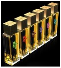 Chypre Citrus Asgharali