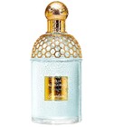 parfém Aqua Allegoria Teazzurra