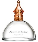 Mystere de Nature Fleur Fleur de Sante