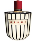 parfém Marni Luxury Edition Eau de Parfum