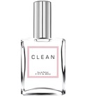 parfém Clean Fragrance