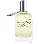Eau de Céleri Monsillage