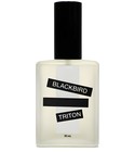 Triton Blackbird