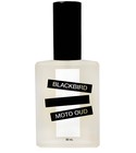 Moto Oud Blackbird