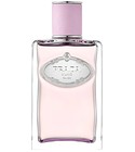 Infusion d'Oeillet  Prada