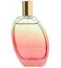 Zara Av. Das Americas 4666 Rio De Janeiro Zara