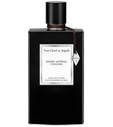 Ambre Impérial Van Cleef & Arpels