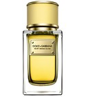 Velvet Mimosa Bloom Dolce&Gabbana