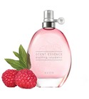 Scent Essence - Blushing Raspberry Avon