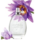 Scent Essence - Blooming Lotus Avon